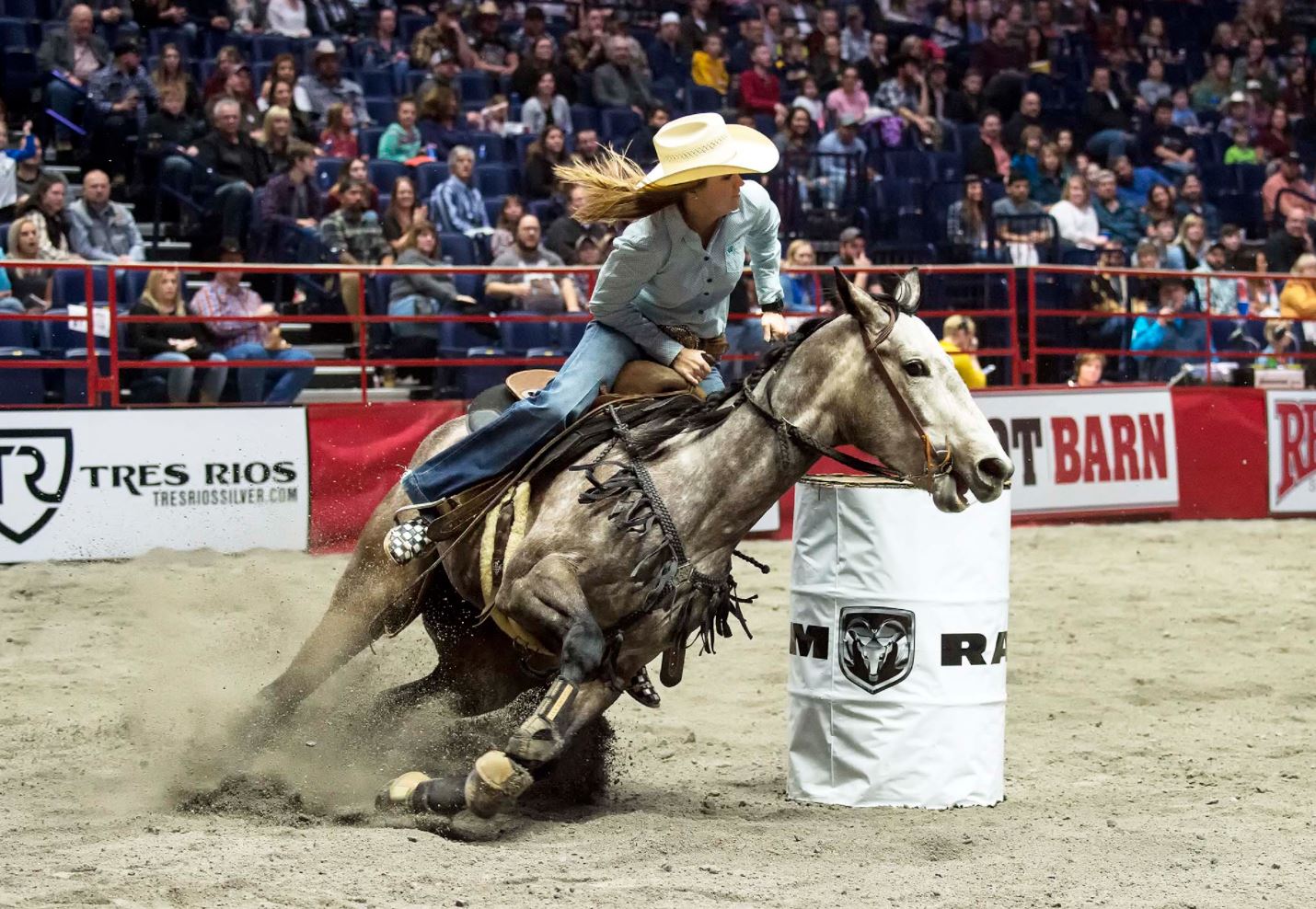 Exploring Rodeo: The History and Benefits of the Sport - Three Phase Event