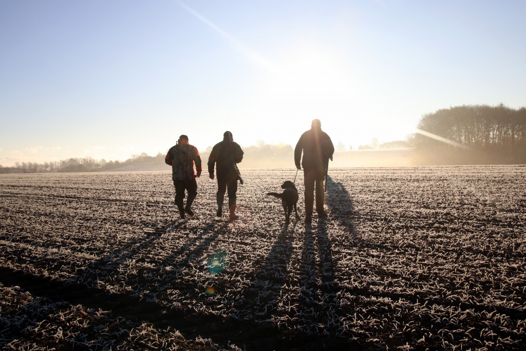 Three men hunting with a dog in the countryside.